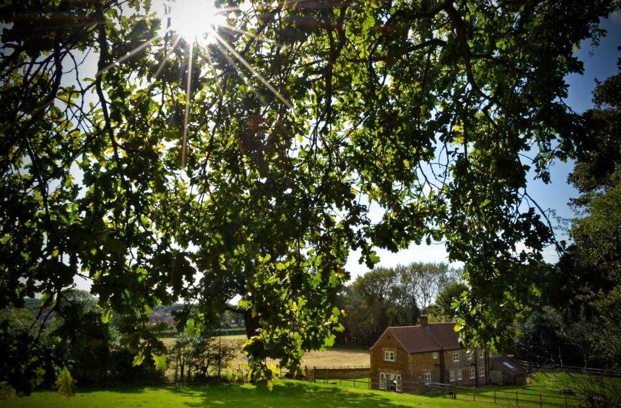 Rural Coastal Self-Catering Accommodation For 8, Near Sandringham Estate, Norfolk Ingoldisthorpe Exterior photo